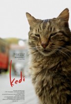 走過貓咪聖地 (Kedi)電影海報