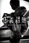 THE SPARRING PARTNER