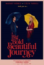 白日夢接夢 (A Big Bold Beautiful Journey)電影海報