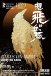 想飛的女孩電影海報