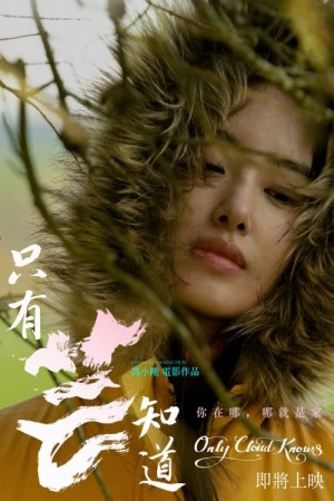 只有芸知道電影海報