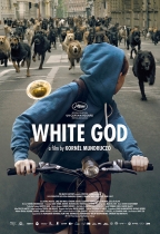 狗眼看人間 (White God)電影海報
