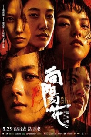 向陽·花電影海報